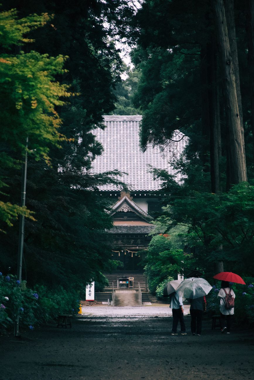 Kyoto temple gardens bathed in rain